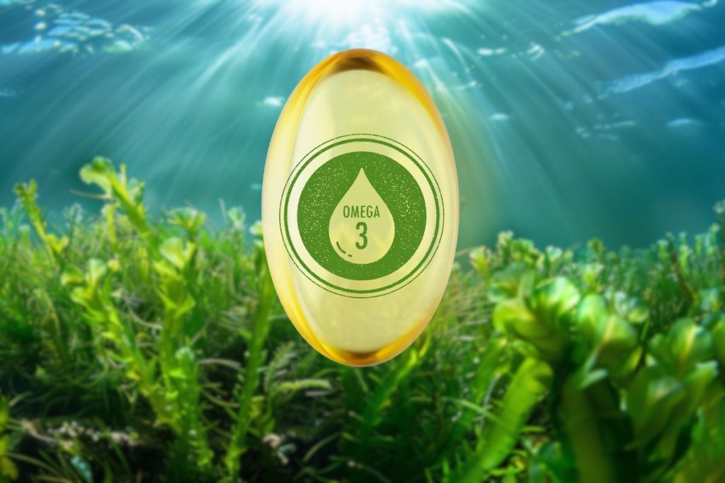Vegansk Omega-3 kapsel med alger i baggrunden