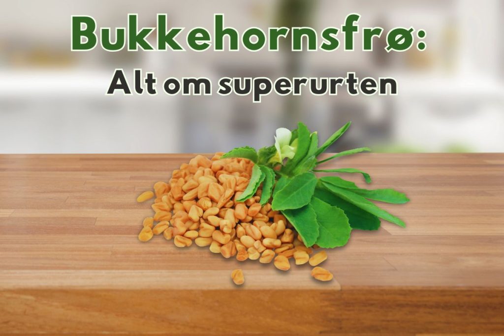 Bukkehornsfrø på en træoverflade med grønne blade og teksten "Bukkehornsfrø: Alt om superurten."