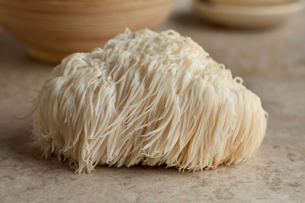 Oversigt over forskellige Lion’s Mane-tilskud fra flere mærker.