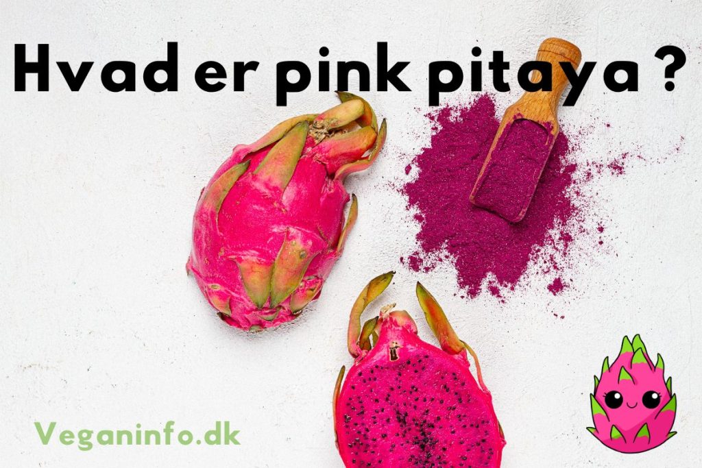 Pulver og frisk pink pitaya med tekst: Hvad er pink pitaya?